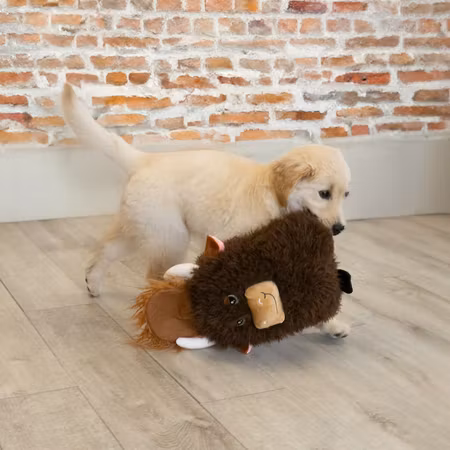 KONG Comfort Jumbo Highland Cow Assortert XL