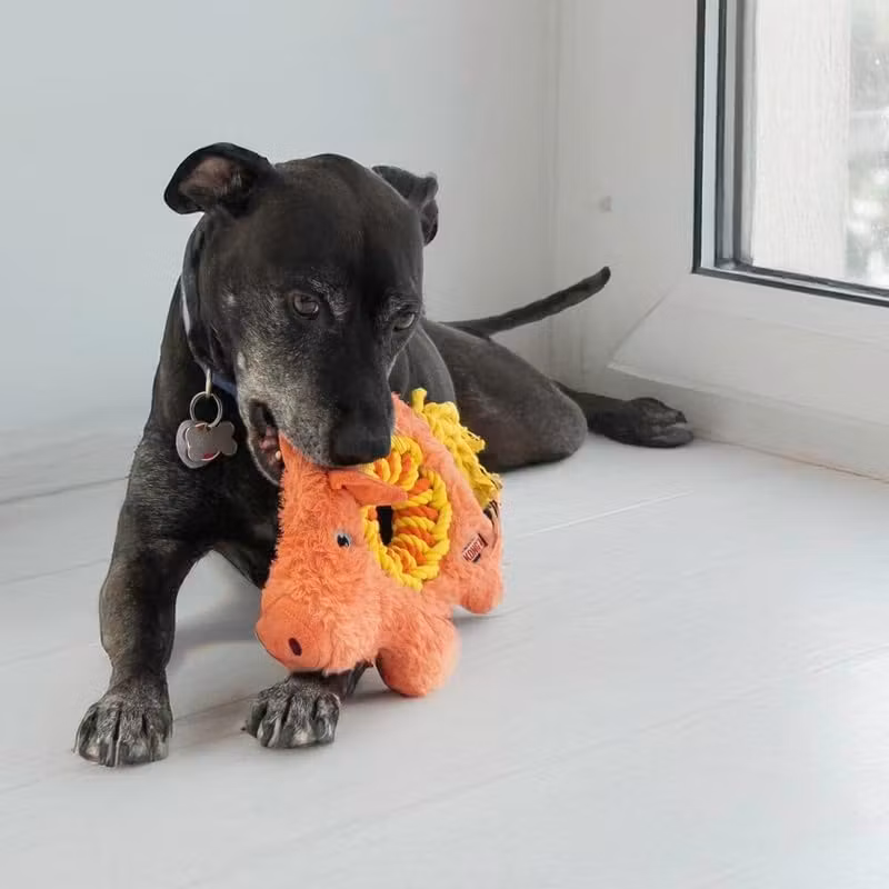 KONG Ringaroos Gris  M