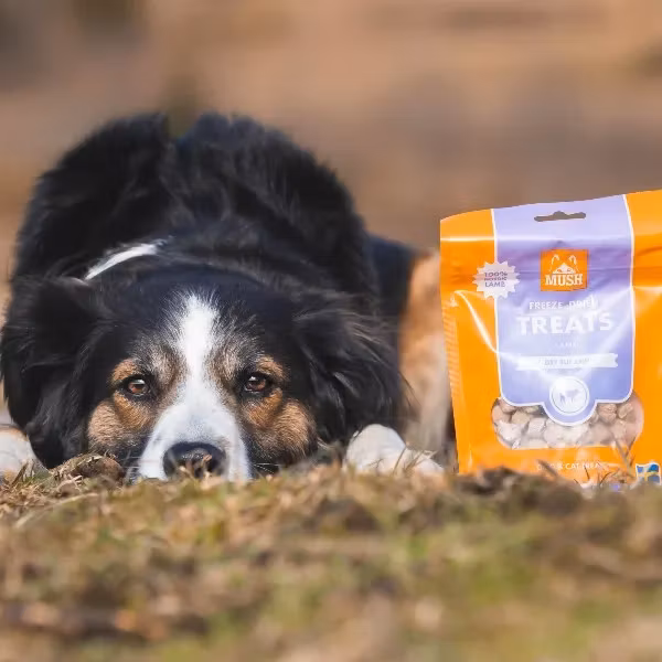 MUSH Treats Frysetørket Lam 55g