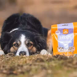 MUSH Treats Frysetørket Lam 55g