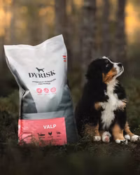 Dyrisk Valp