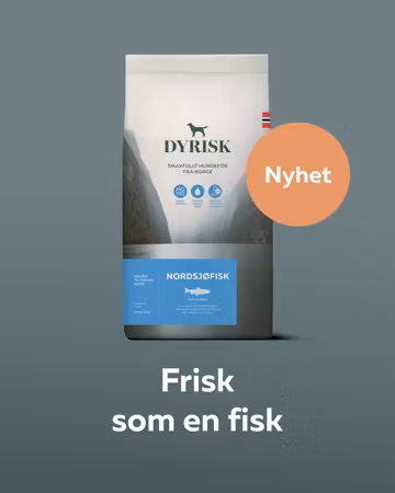 Dyrisk Nordsjøfisk
