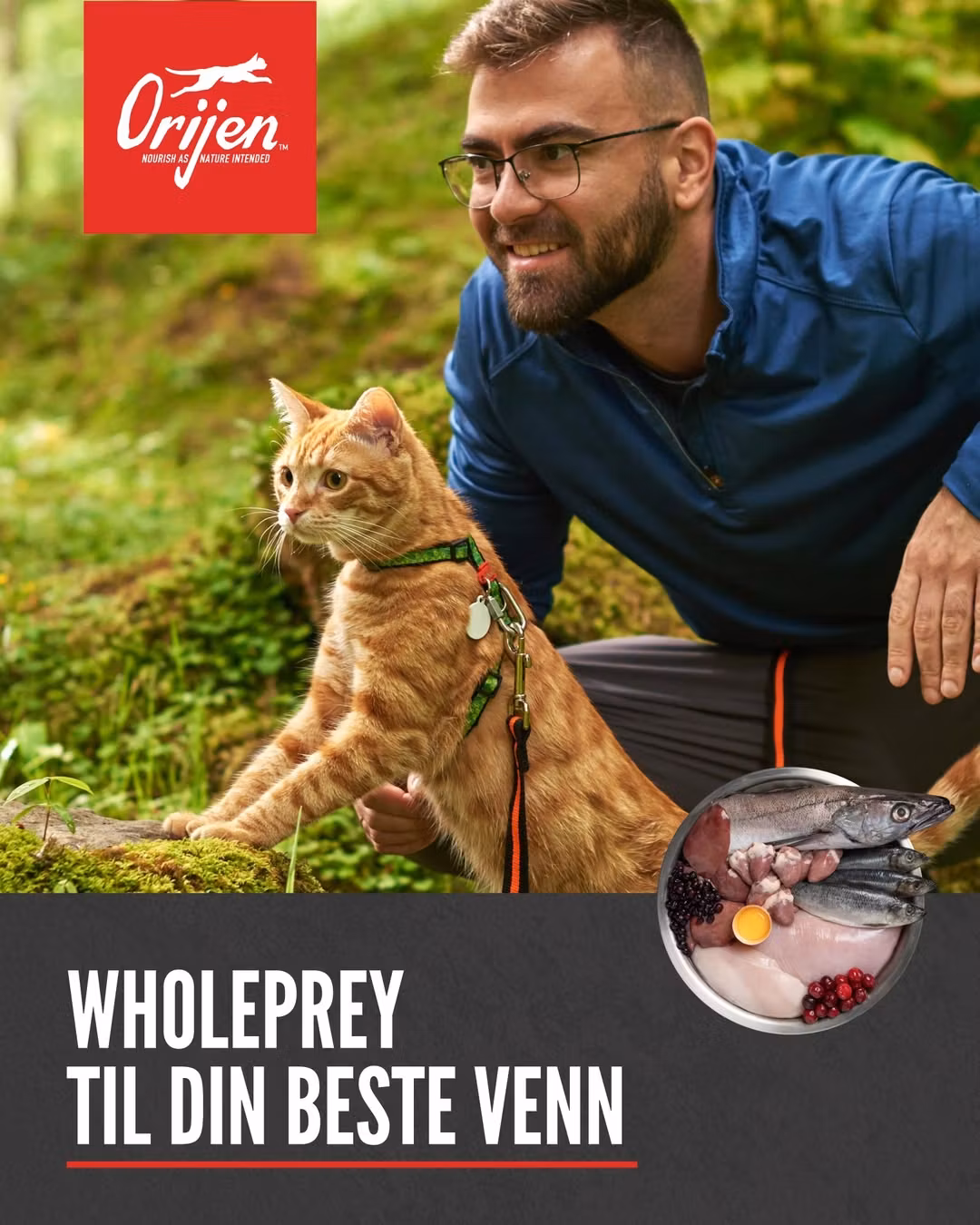 Orijen Cat Original