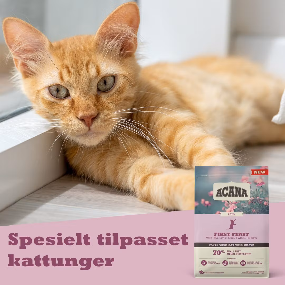 Acana Cat First Feast