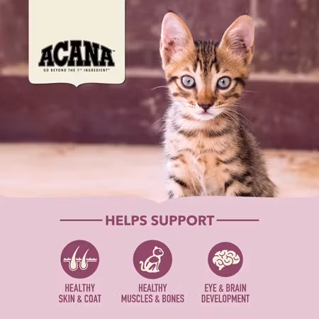 Acana Cat First Feast