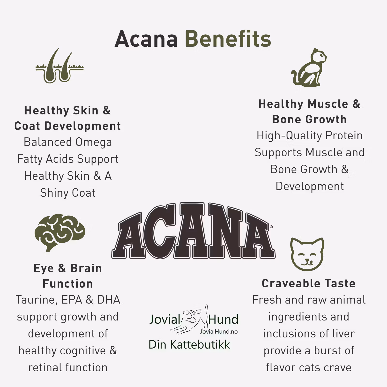Acana Cat First Feast