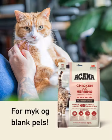 Acana Cat Indoor Entree