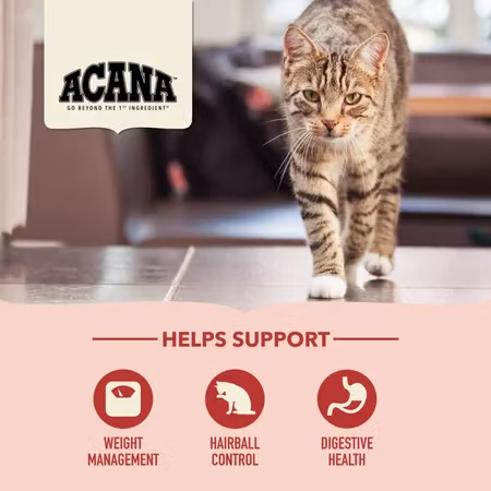 Acana Cat Indoor Entree
