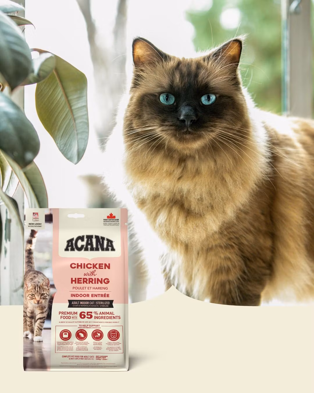 Acana Cat Indoor Entree