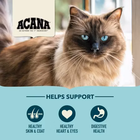 Acana Cat Bountiful Catch