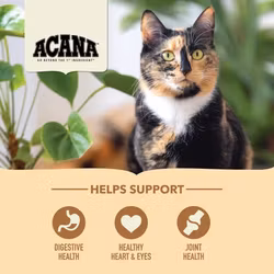 Acana Cat Homestead Harvest