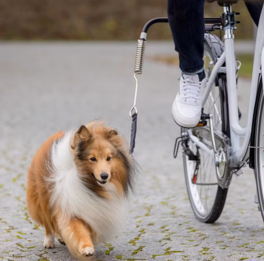 Sykkelsett DeLuxe (Springer)