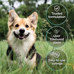 PRO-KOLIN+ Probiotika Til Valp/Voksen Hund
