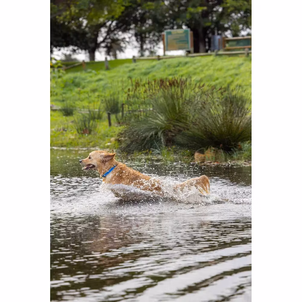 Rogz Amphibian Koppel 180cm