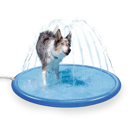 Basseng Splash & Spray Til Hund 150cm Stone Grey/Blue