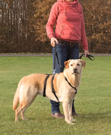 Trixie Hundesele Stay Nylon - Panic Harness Stay - Sort