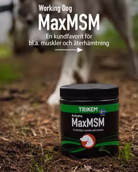 Trikem Working Dog MaxMSM 450 g