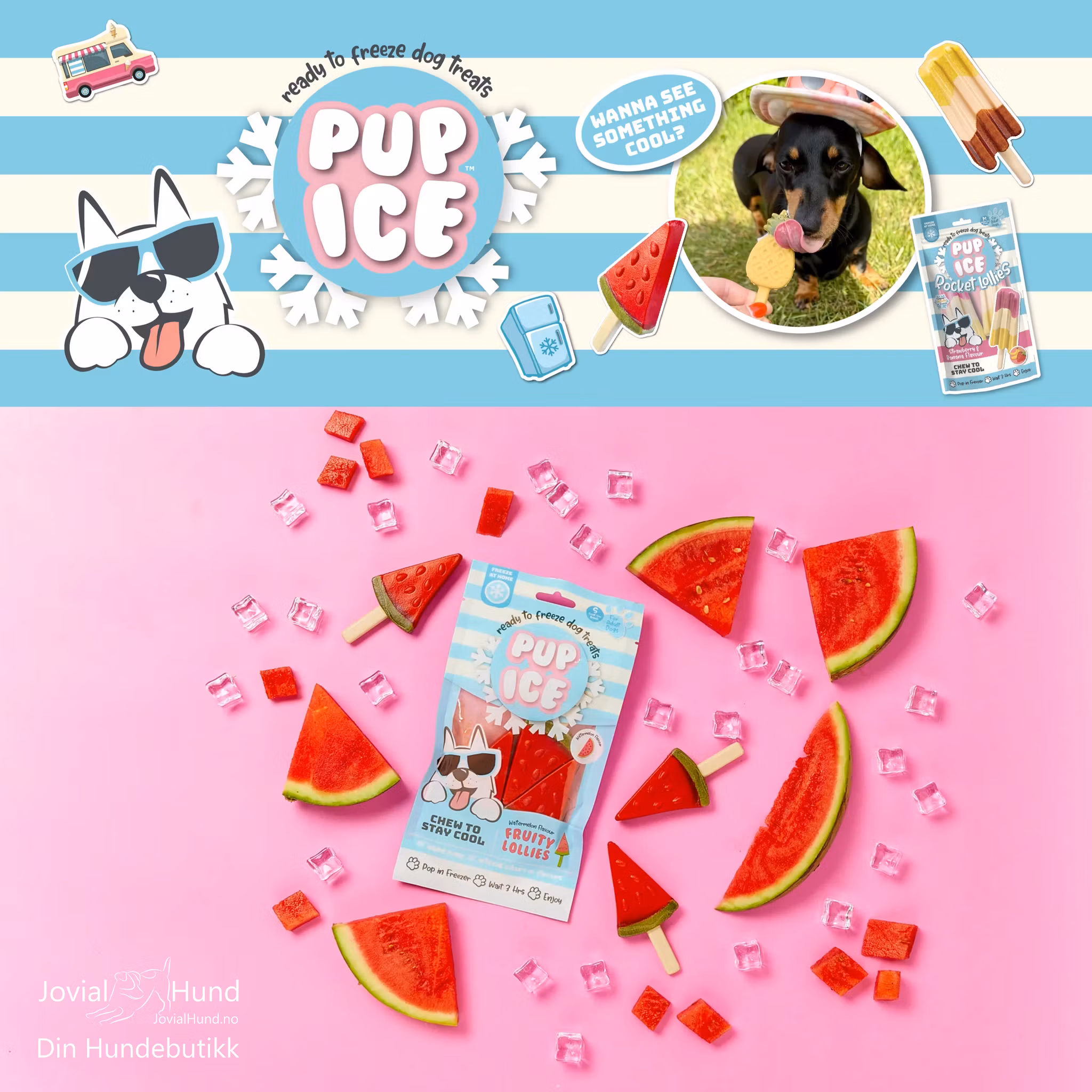 Pup Ice Fruity Lollies 3pk 90g Ananas