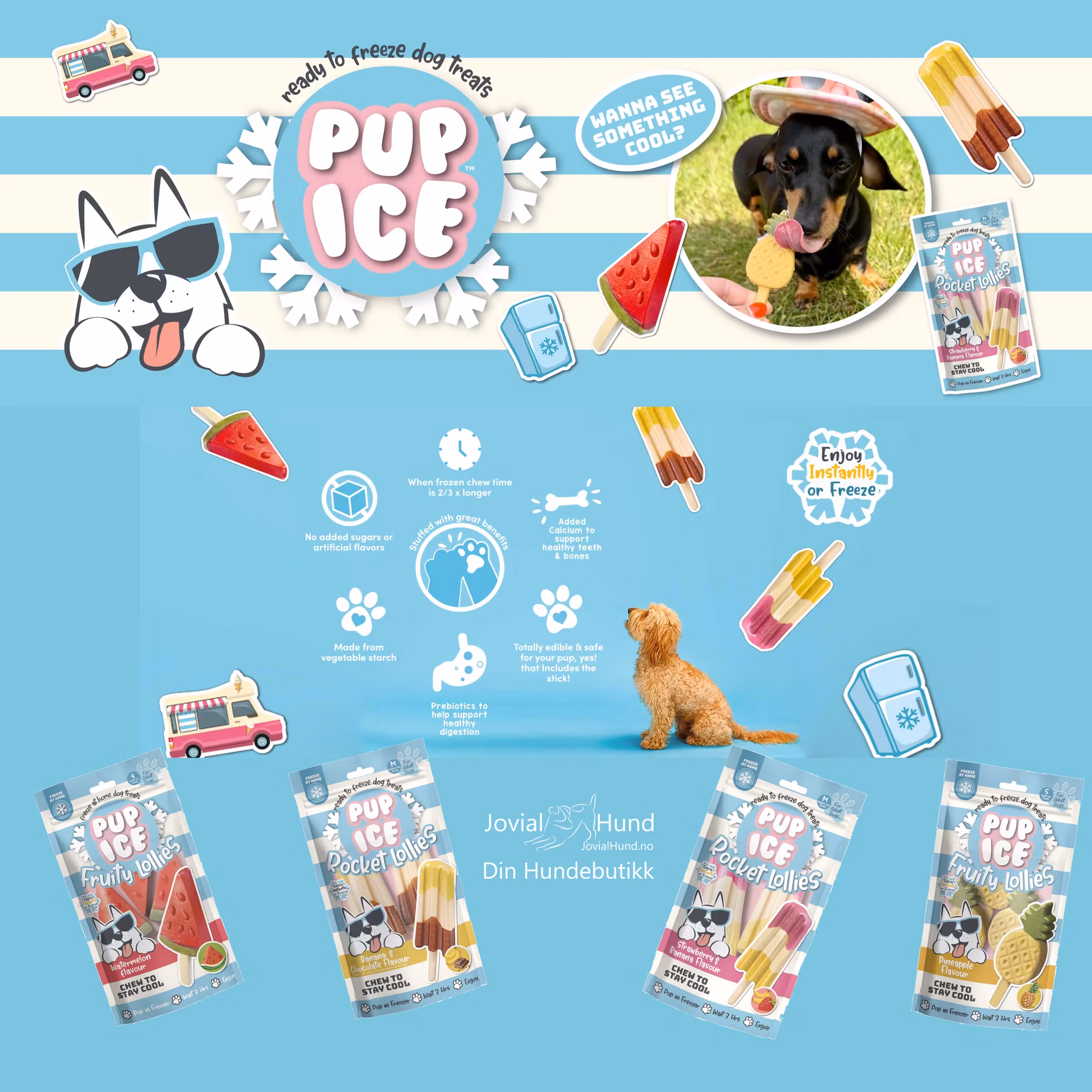 Pup Ice Rocket Lollies 2pk 90g Banan & Sjokolade