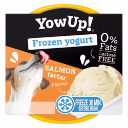 YowUp Ice Cream Yogurt SALMON TARTAR 110g