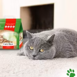 Cat`s Best Original Kattesand