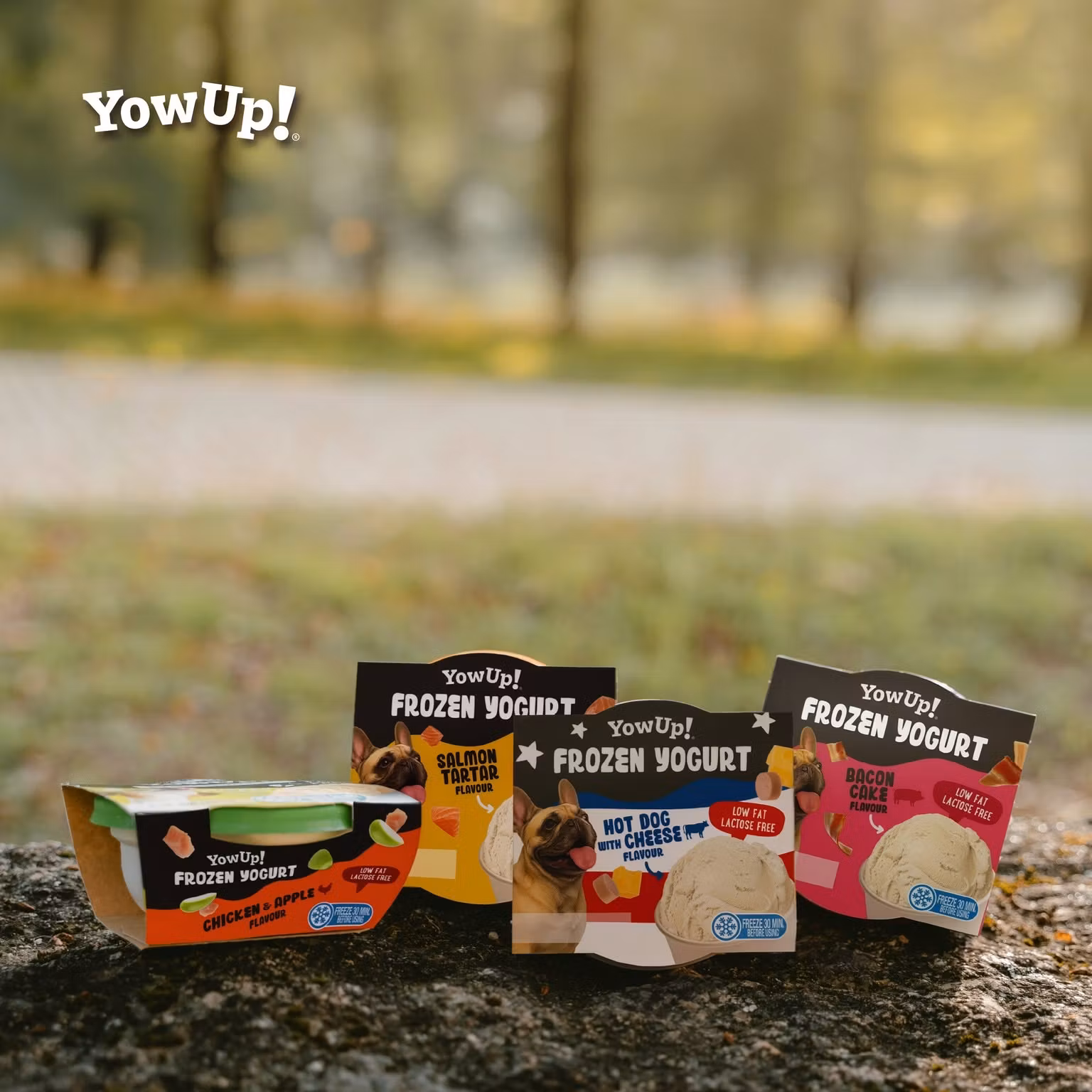 YowUp Ice Cream Yogurt BACON CAKE 110g