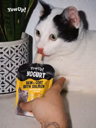 YowUp Yogurt SKIN AND HAIR CAT 85g