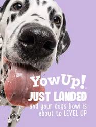 YowUp Yogurt SKIN AND HAIR DOG 115g