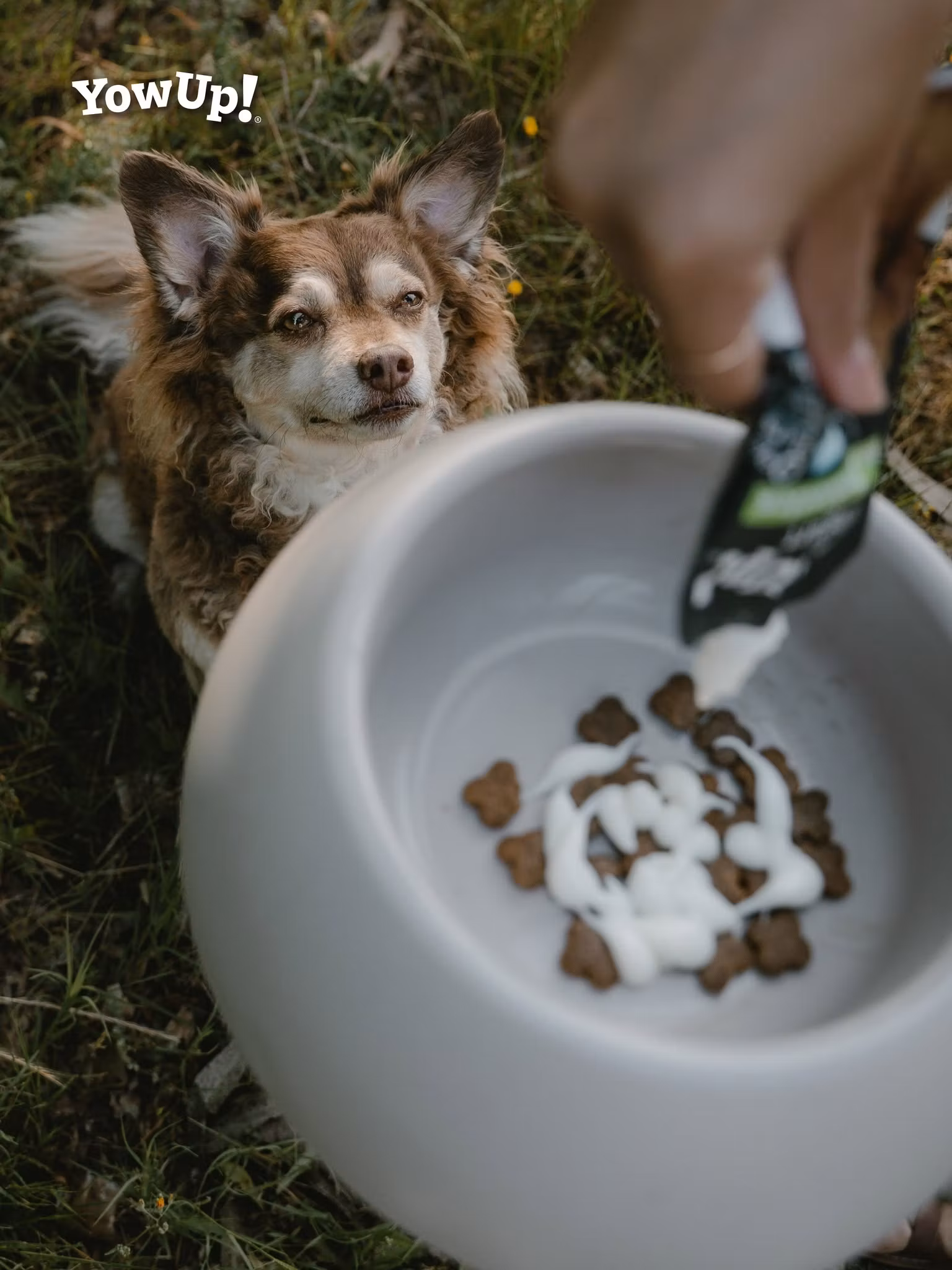 YowUp Yogurt ARTICULAR DOG 115g
