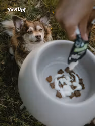 YowUp Yogurt ARTICULAR DOG 115g