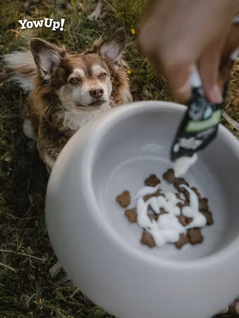 YowUp Yogurt ARTICULAR DOG 115g