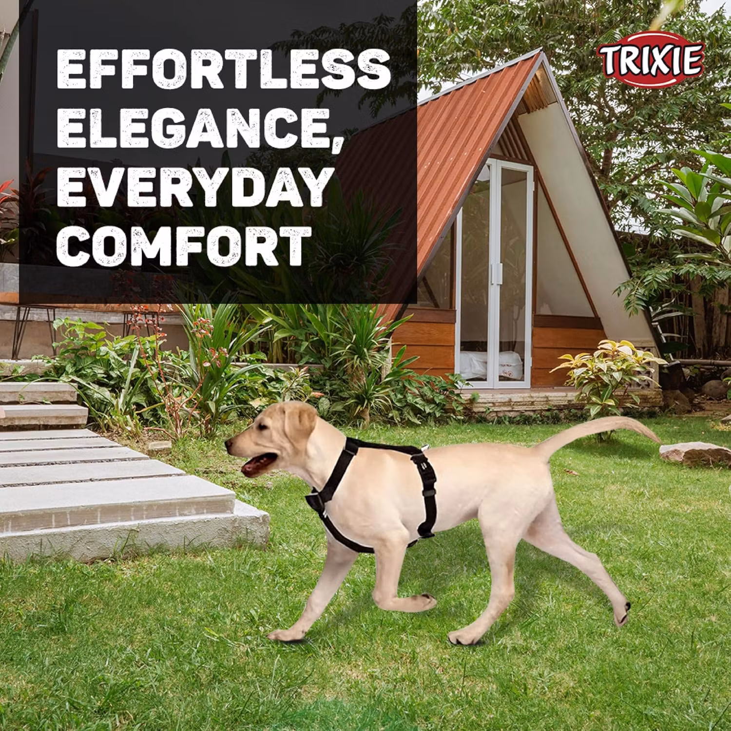 Trixie L/XL Premium Sele 75-120cm 25mm H-Sele Hundesele