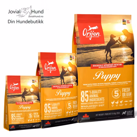 Orijen Dog Puppy