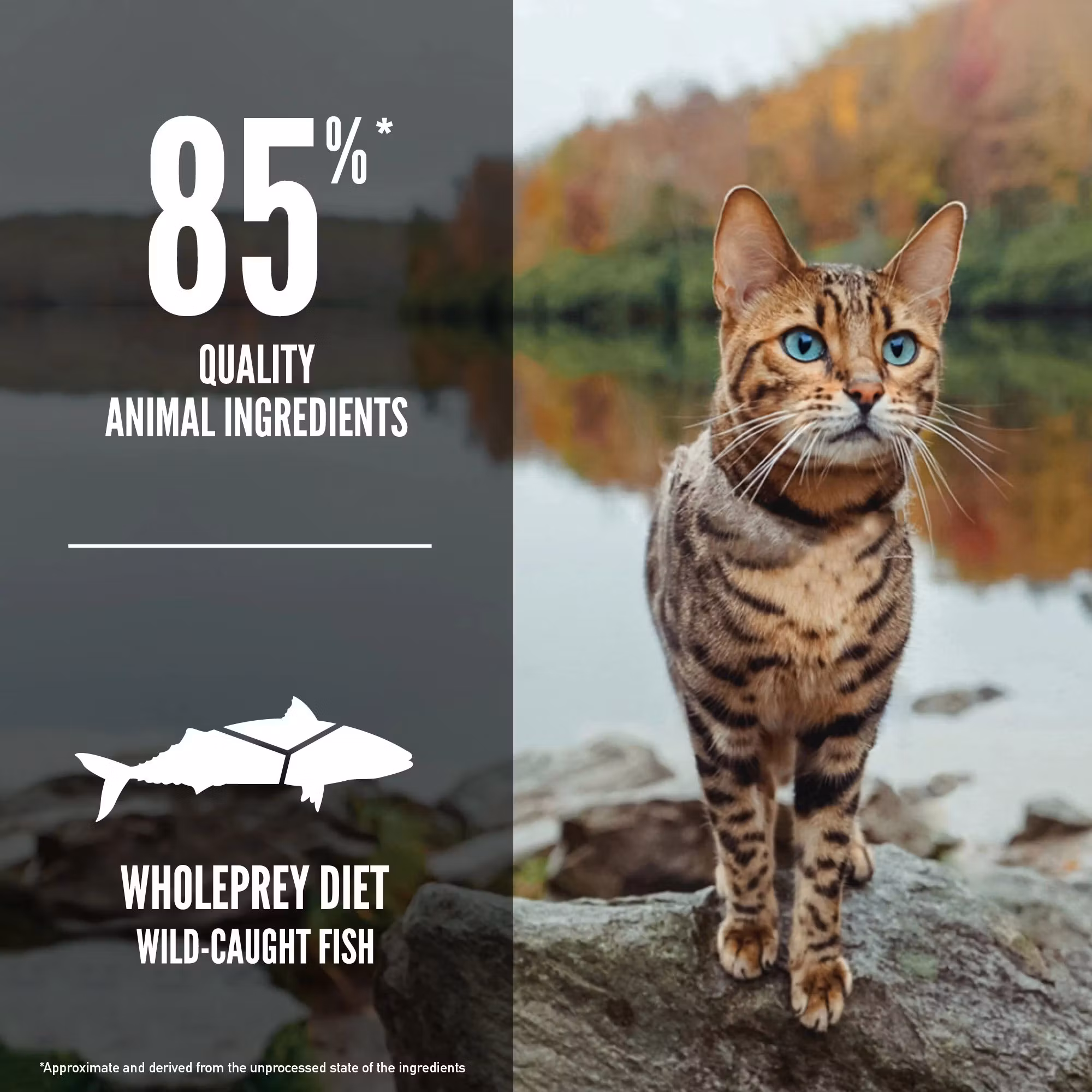 Orijen Cat Six Fish