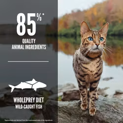 Orijen Cat Six Fish
