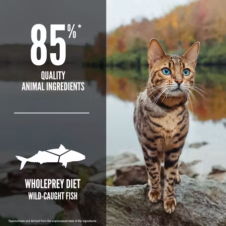 Orijen Cat Six Fish
