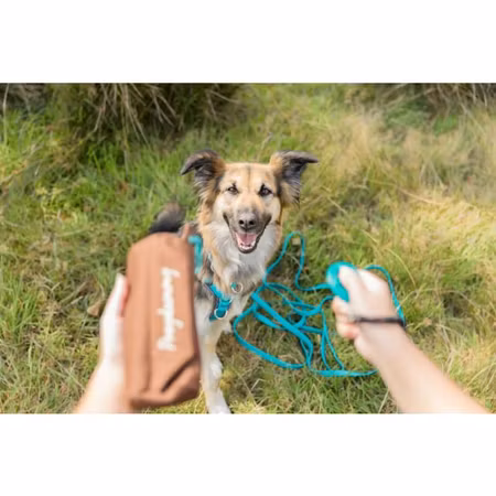 Trixie Sporline Easy Life 13 mm - Tracking Lead