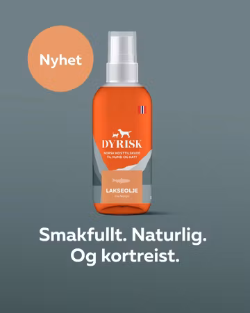 Dyrisk Lakseolje