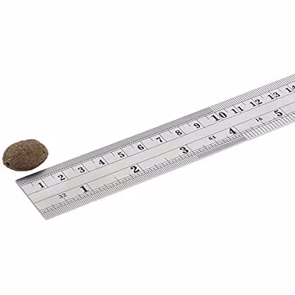 F4D Sardine Adult Large Kibble