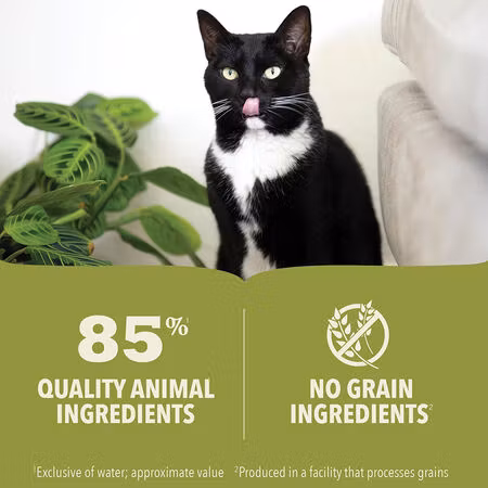Acana Cat Wet Lam Pate 85g
