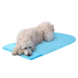 Goo-eez 2 in 1 Cooltek Gel Cooling Bed & Mat Kjøleseng/Kjølematte