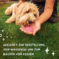 CoolPets Dog Ice Mix Tray