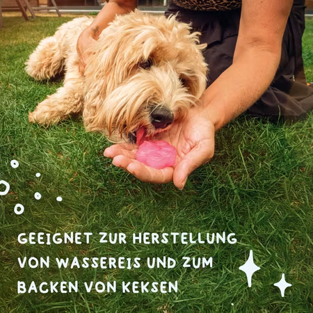 CoolPets Dog Ice Mix Tray