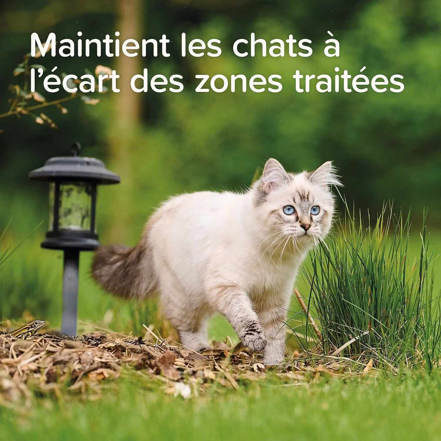 Beaphar Keep off spray utendørs - katt 500ml -. Bestillingsvare