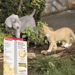 Beaphar Sårsalve 30g - Beaphar Wound Derma+ Wound Cream