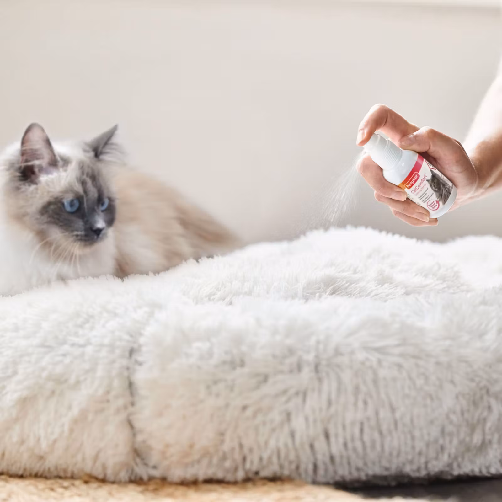 Beaphar Catcomfort Spray 30ml for katt