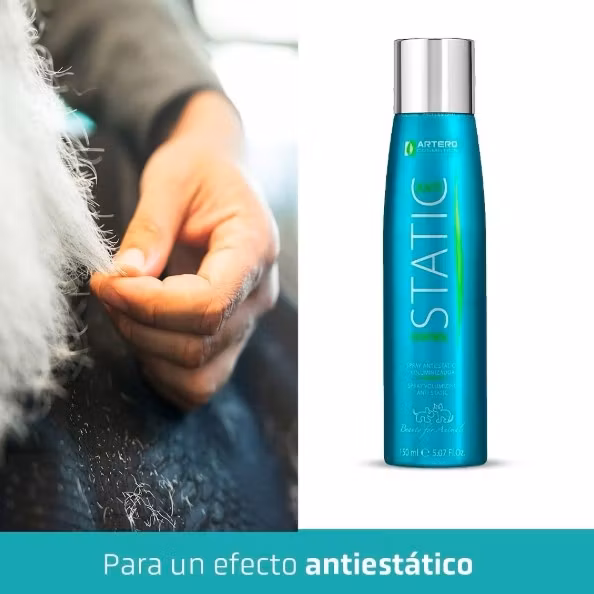 Static Control 150ml, Artero