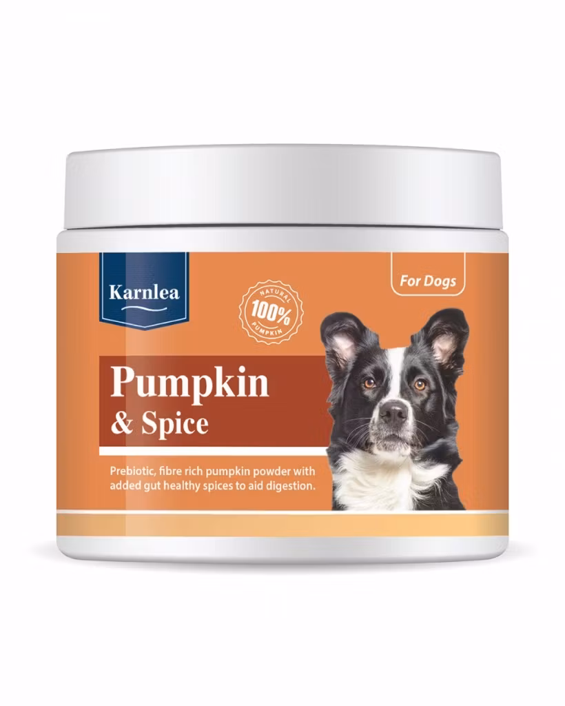 Karnlea Pumpkin & Spice (200g)
