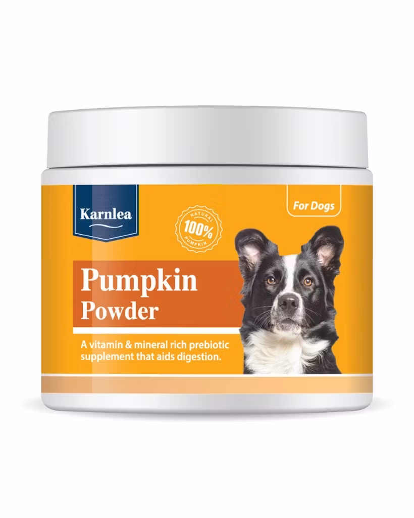 Karnela Pumpkin Powder 200g