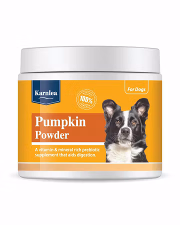 Karnela Pumpkin Powder 200g